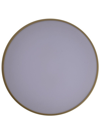 Потолочный светильник Zortes Gabby ZRS.90610.40