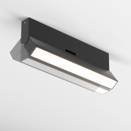 Потолочный светильник Maytoni Basis Rot C133CL-12W4K-B