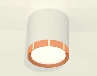 Комплект накладного светильника Ambrella light Techno Spot XS (C8141, N8126) XS8141005