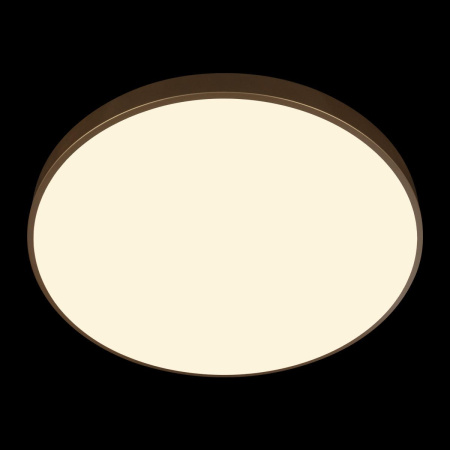 Потолочный светильник Loft IT Flims 10228/B