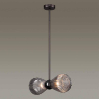 Подвесная люстра Odeon Light Exclusive Elica 5417/2