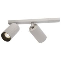 Спот Citilux Axel CL512520R