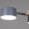 Потолочная люстра Reluce 03758-0.3-10 GREY+WOOD GX53