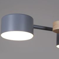Потолочная люстра Reluce 03758-0.3-10 GREY+WOOD GX53