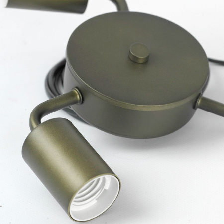 Потолочная люстра Lussole Fremont LSP-8814