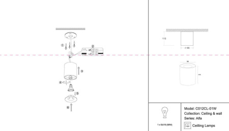 Потолочный светильник Maytoni Alfa C012CL-01W