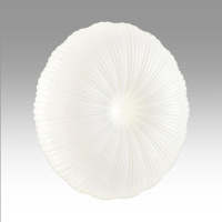 Настенно-потолочный светильник Sonex Pale Anix 7678/ELN