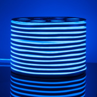 Светодиодный гибкий неон LS001 220V 9.6W 120Led 2835 IP67 односторонний синий Elektrostandard
