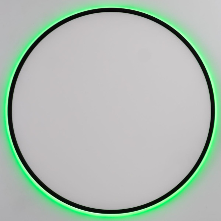 Потолочный светильник Citilux Norma CL749601