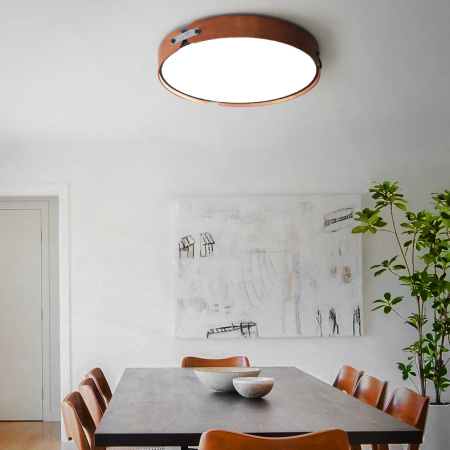 Потолочный светильник ImperiumLoft Range 195540-26