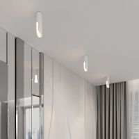 Накладной светильник Elektrostandard Apex 4690389208843 25113/LED a068289