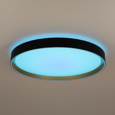 Потолочный светильник Citilux Boss CL751451G