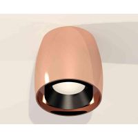 Комплект накладного светильника Ambrella light Techno Spot XS1144001 PPG/PBK золото розовое полированное/черный полированный (C1144, N7031)