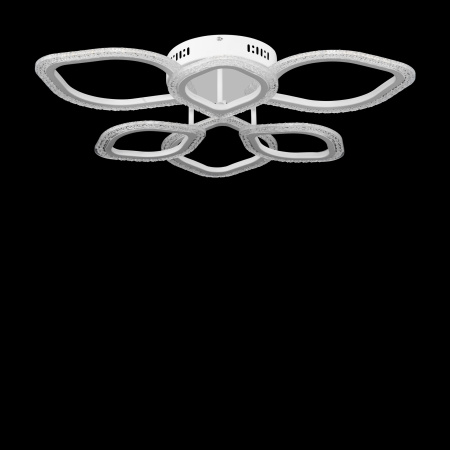 Потолочная люстра Freya Saida FR10016CL-L72W