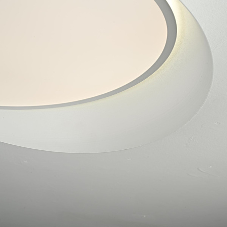 Потолочный светильник ImperiumLoft Shell 102036-26