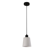 Подвесной светильник Escada Clarity 120004/1P Black ES0000041