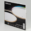 Потолочный светильник Citilux Etalon CL750501R