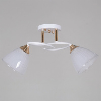 Потолочный светильник Reluce 04360-0.3-02 WH+FG