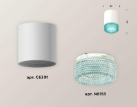 Комплект потолочного светильника Ambrella light Techno Spot XC (C6301, N6153) XS6301043