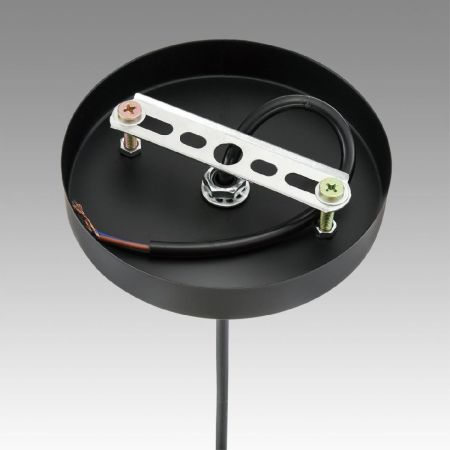 Подвесной светильник Lumion Suspentioni Elenika 8056/1A