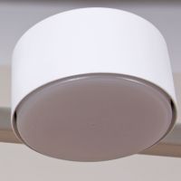 Потолочный светильник Reluce 08047-0.3-08 WT