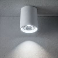 Потолочный светильник с переключателем цв. температуры Crystal Lux CLT 075C WH