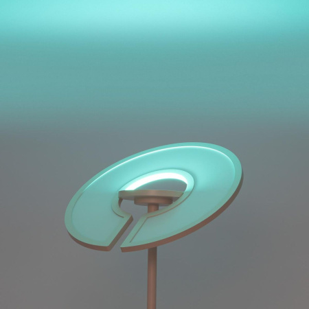 Торшер Citilux Loong CL810030