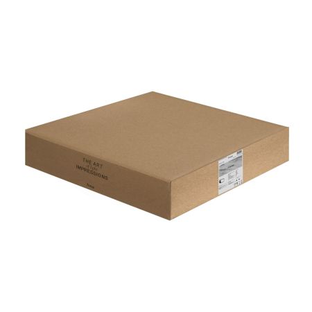 Потолочный светильник Freya Frame FR6084CL-L68B