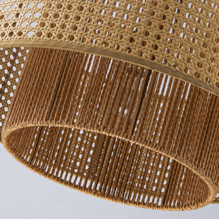 Подвесной светильник Favourite Organicum 4769-1P