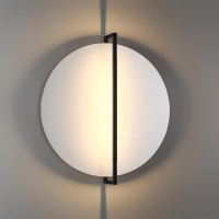 Настенно-потолочный светильник Odeon Light Lunar 7015/20WL