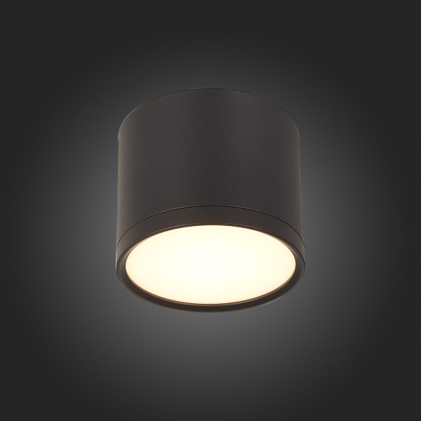 Потолочный светильник ST Luce Rene ST113.432.09