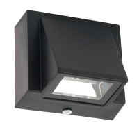 Уличный настенный светильник Feron DH113 52155