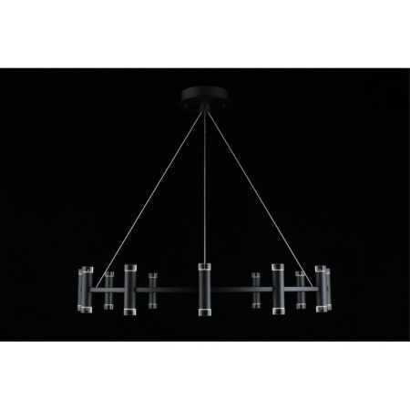 Подвесная светодиодная люстра Aployt Klarcia APL.037.03.120