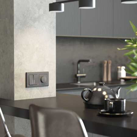 Диммер (графит матовый) W1142064 Werkel