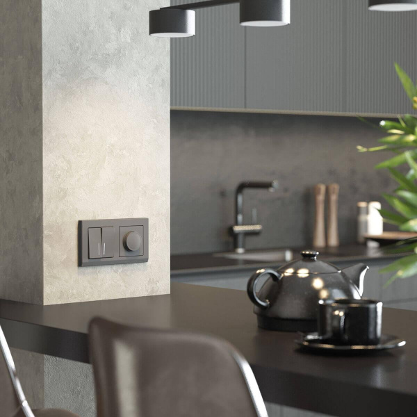 Диммер (графит матовый) W1142064 Werkel