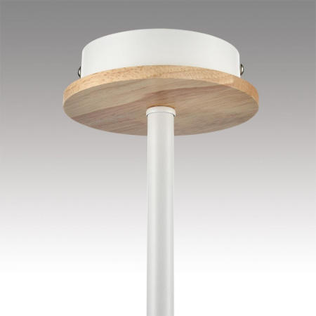 Люстра на штанге Lumion County Irma 8246/3C