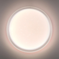 Настенно-потолочный светильник Sonex Pale Jolly 7775/ELN