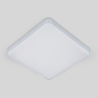 Накладной потолочный светодиодный светильник DLS043 Elektrostandard