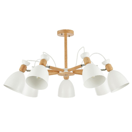 Потолочный светильник EVOLUCE BALCAMO SLE103802-07