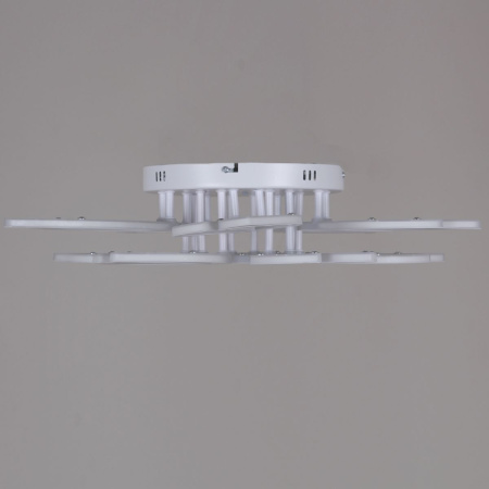 Потолочная люстра Reluce 00150-0.3-5+5 WH