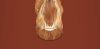 Подвесной светильник Freya Curl FR5624PL-L9CG