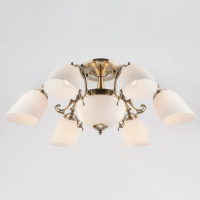 Потолочная люстра Eurosvet 22010/6+2 античная бронза