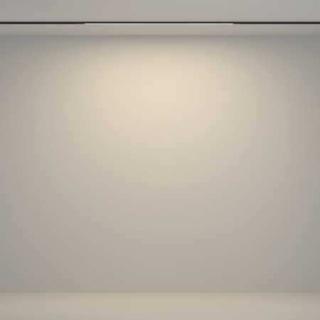 Трековый магнитный светильник Maytoni Flex TR180-1-12WTW-B