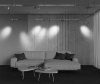 Трековый магнитный светильник Maytoni Technical Focus Led Flarity TR144-1-12W4K-W-PT