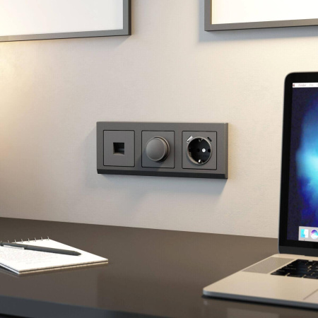 Диммер (графит матовый) W1142064 Werkel