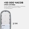 Уличный консольный светильник Apeyron 29-05