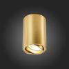 Накладной светильник ST Luce ST108 ST108.207.01