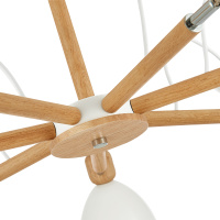 Потолочный светильник EVOLUCE BALCAMO SLE103802-07