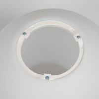 Потолочный светильник Citilux Ron CL941D20B1