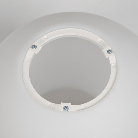 Потолочный светильник Citilux Ron CL941D20B1